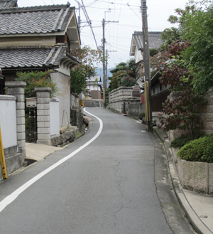 고대 일본의 제 1호 국도 다케노우치 가도. 이 길이 가와찌 아스카와 야마도 아스카를 연결 시키는 길이었다