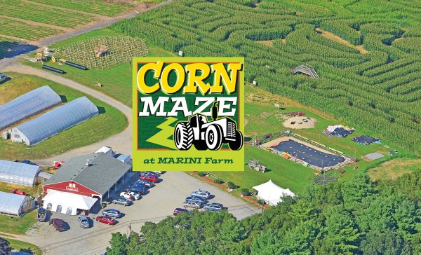 Marini Farm Corn Maze — Ipswich