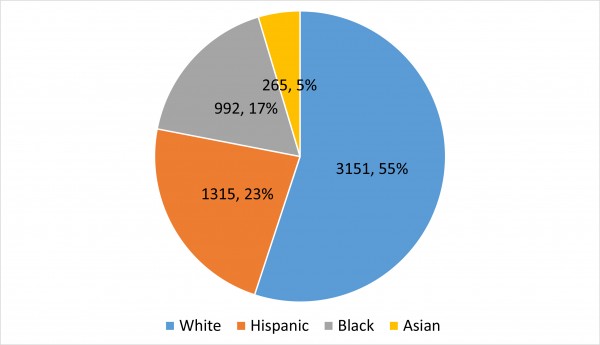 매사추세츠주가 처음으로 공개한 인종별 확진자 자료에 따르면 흑인과 라티노의 감염비율이 높고 아시안과 백인의 감염비율이 낮았다