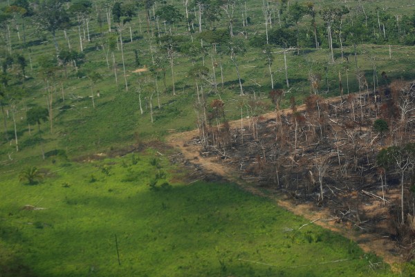2021년 9월 촬영된 아마존 삼림벌채 모습.