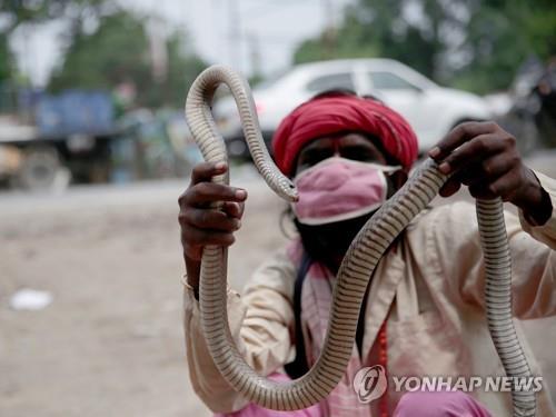 인도 콜카타에서 뱀을 들고 있는 인도인.