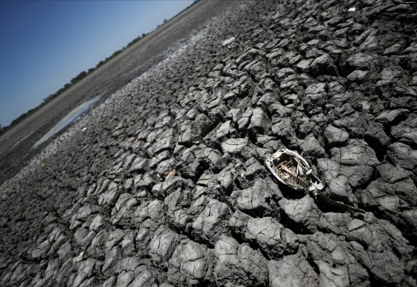 가뭄에 말라버린 아르헨티나 부에노스아이레스 나바로 호수