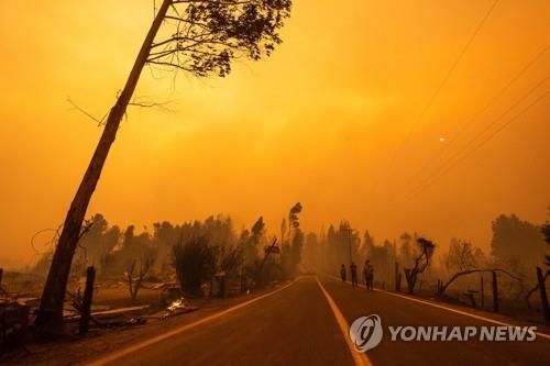 폭염에 영향을 받은 칠레 산불
