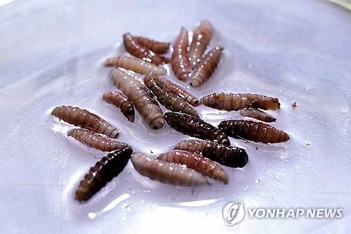 도널드 트럼프 미국 대통령(왼쪽)과 존 볼턴 전 백악관 국가안보보좌관